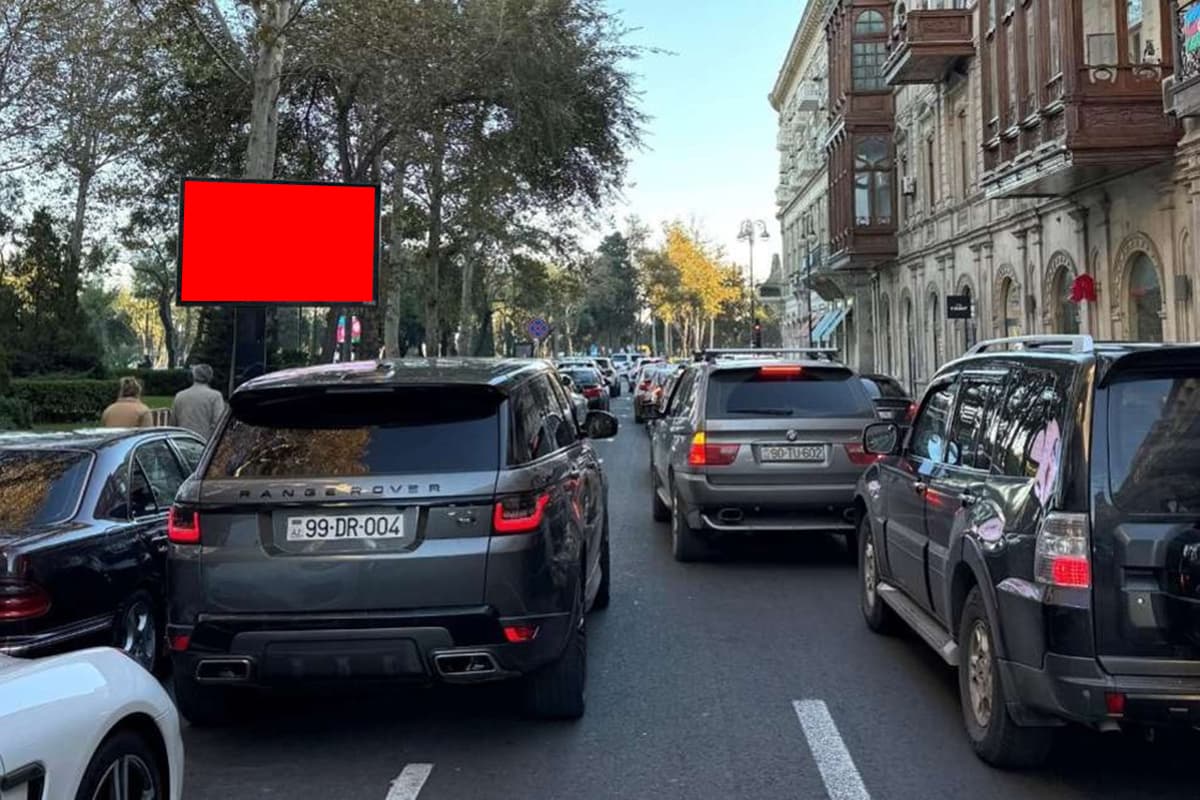 LD 045, Ə.Əliyev küç. Zevin