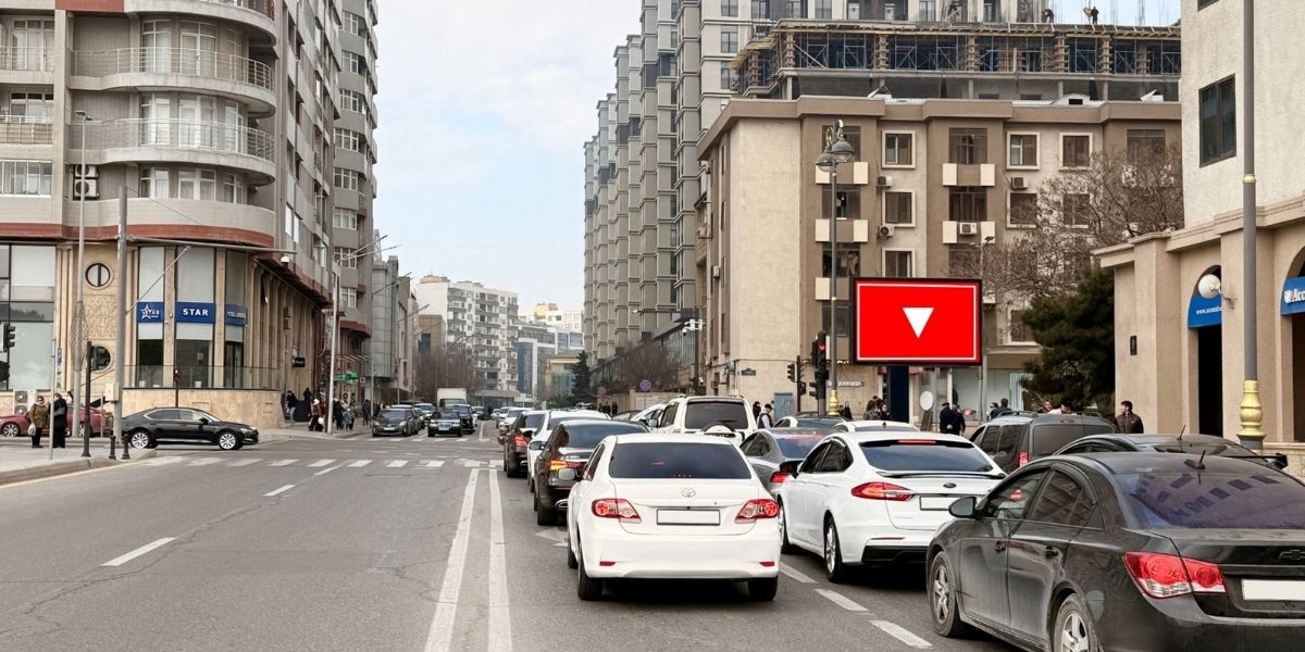 Qurğu Fotosu