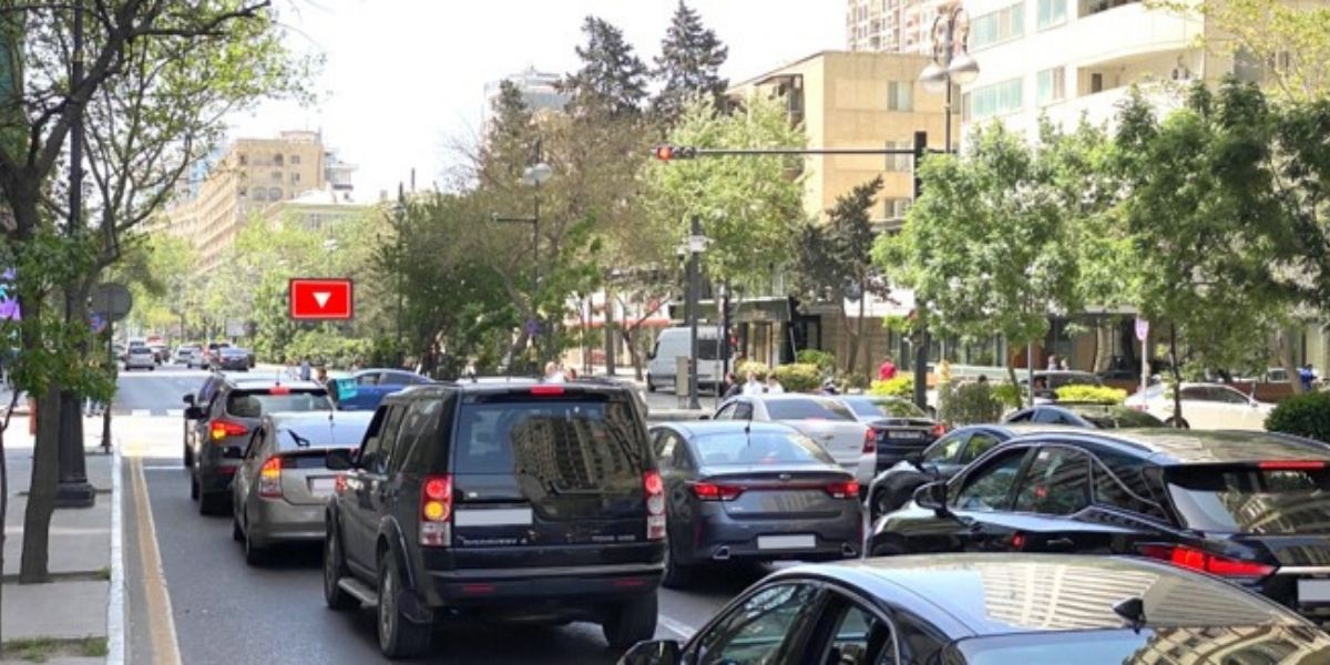 Qurğu Fotosu