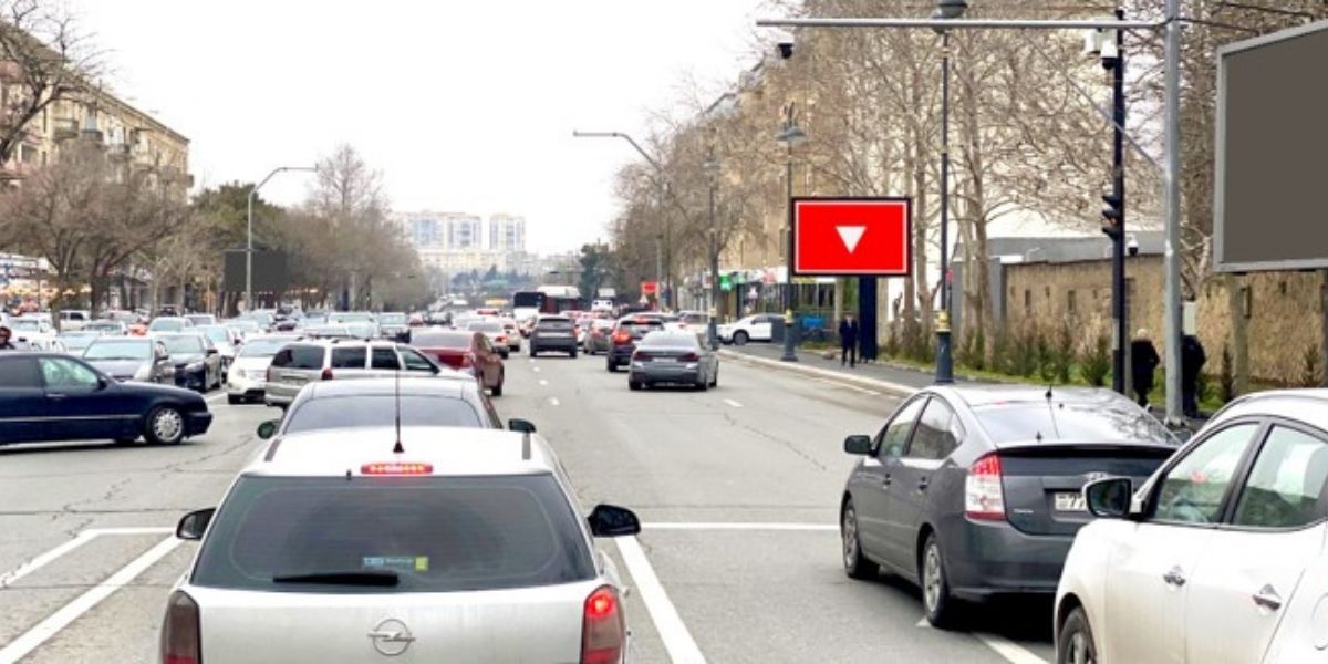 Qurğu Fotosu