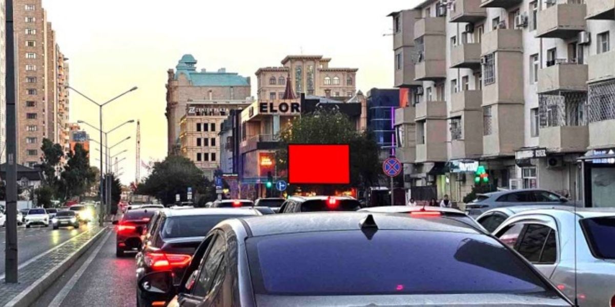 Qurğu Fotosu