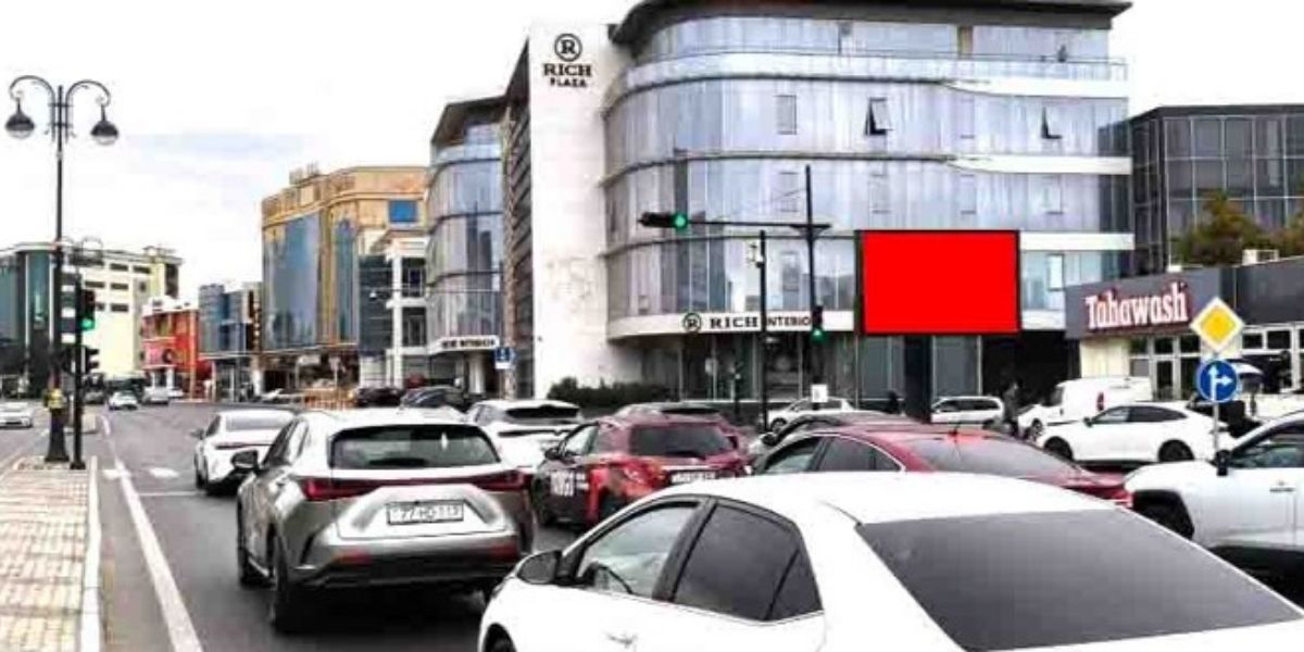 Qurğu Fotosu