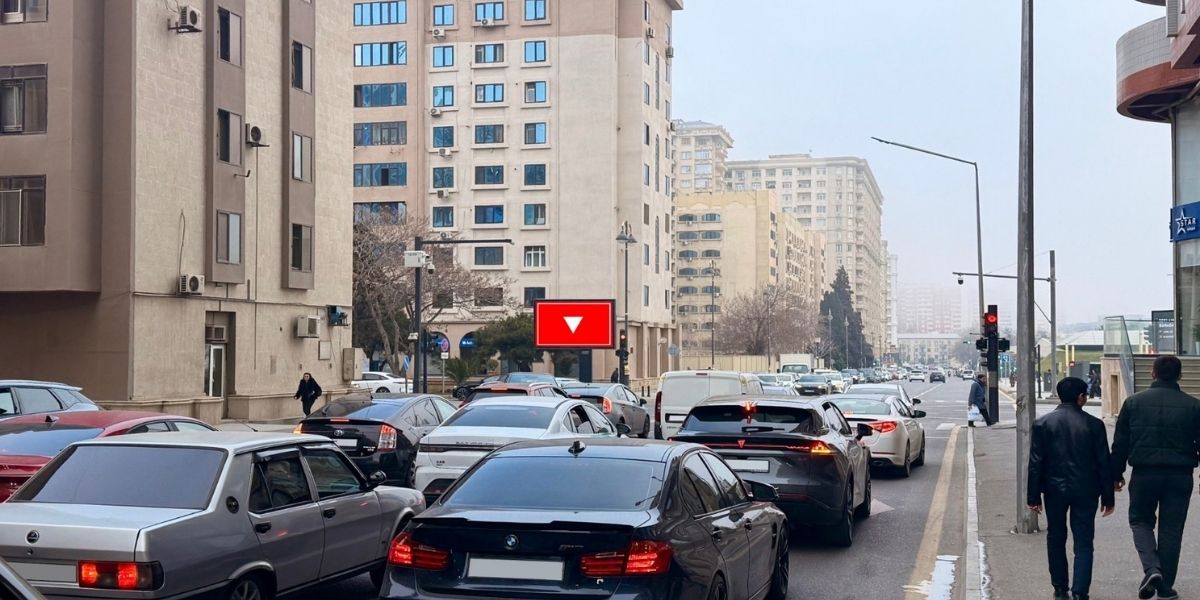 Qurğu Fotosu