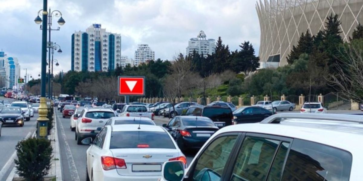 Qurğu Fotosu