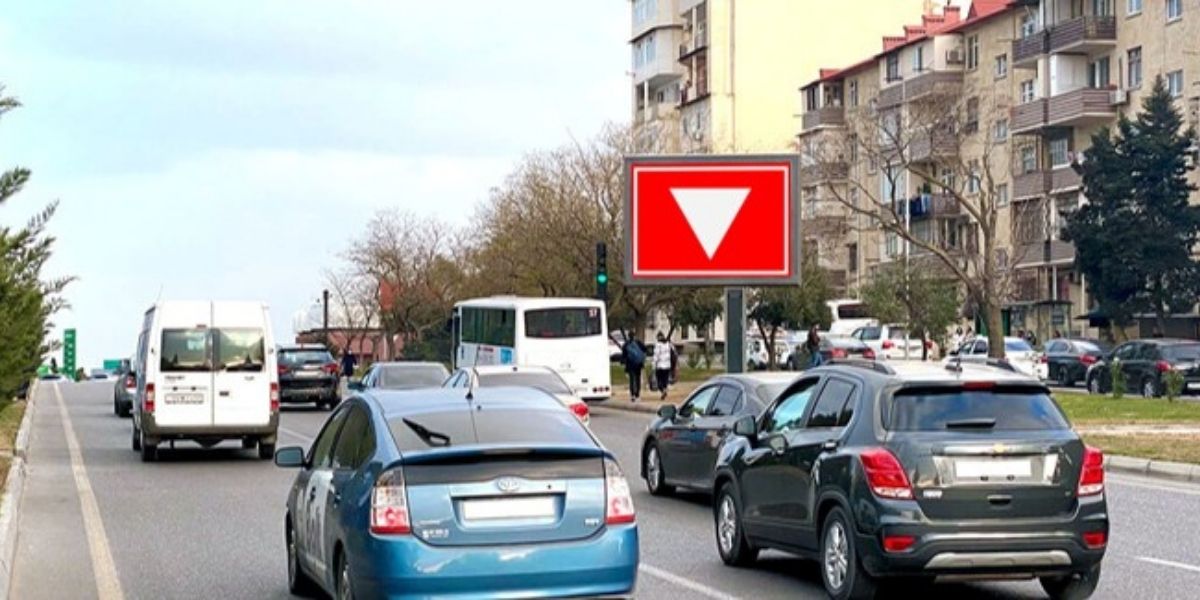 Qurğu Fotosu