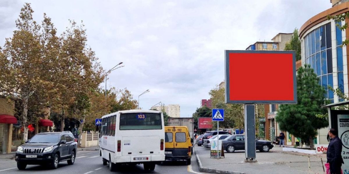 Qurğu Fotosu