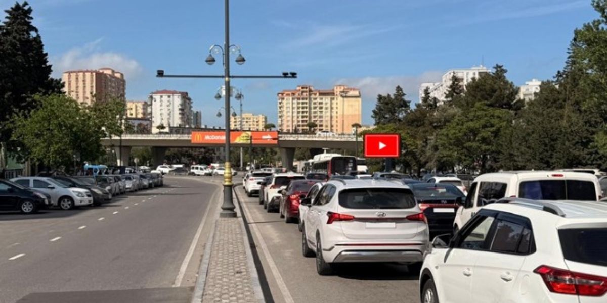 Qurğu Fotosu