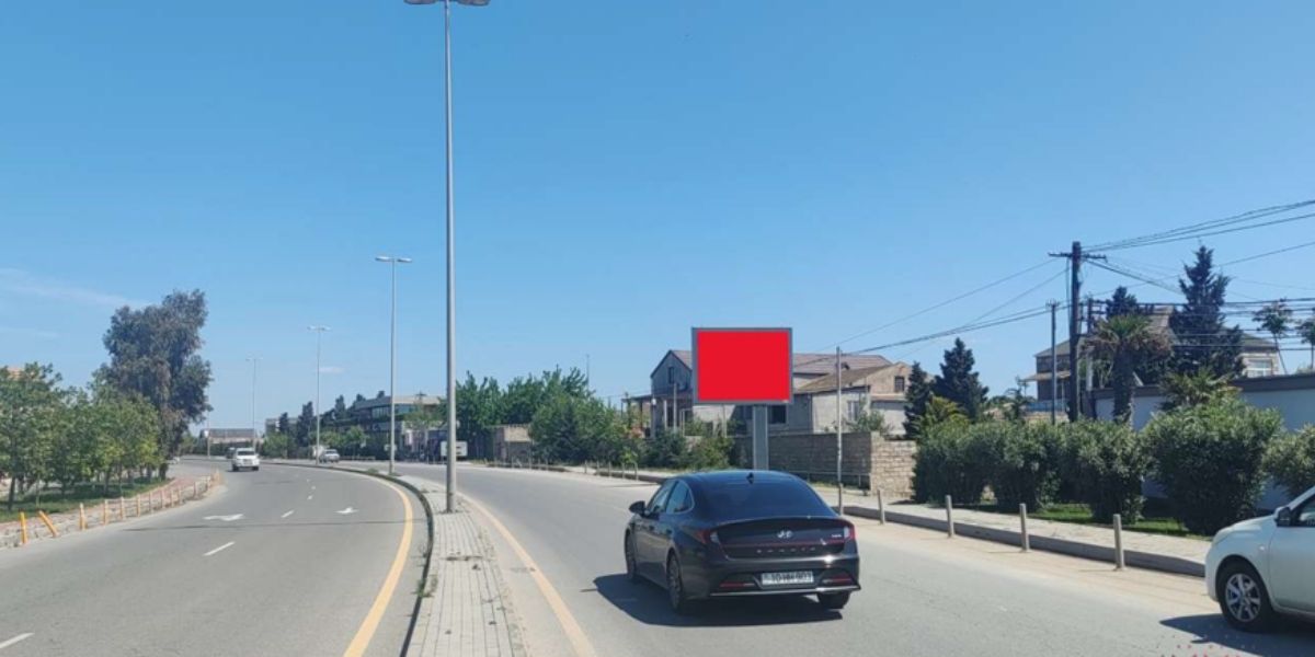 Qurğu Fotosu