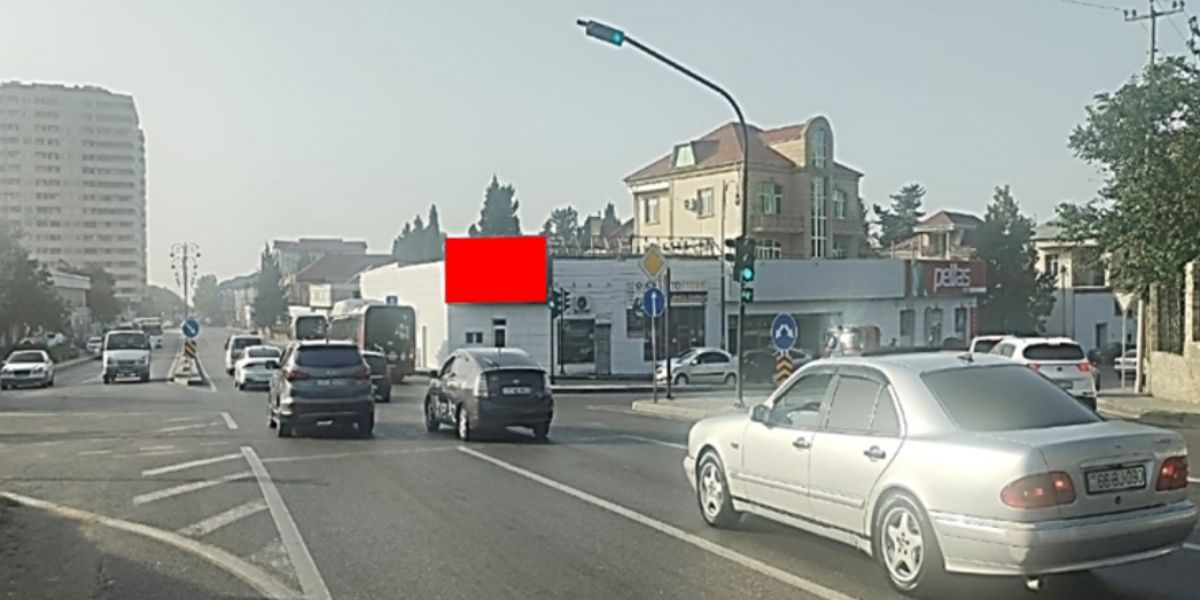 Qurğu Fotosu