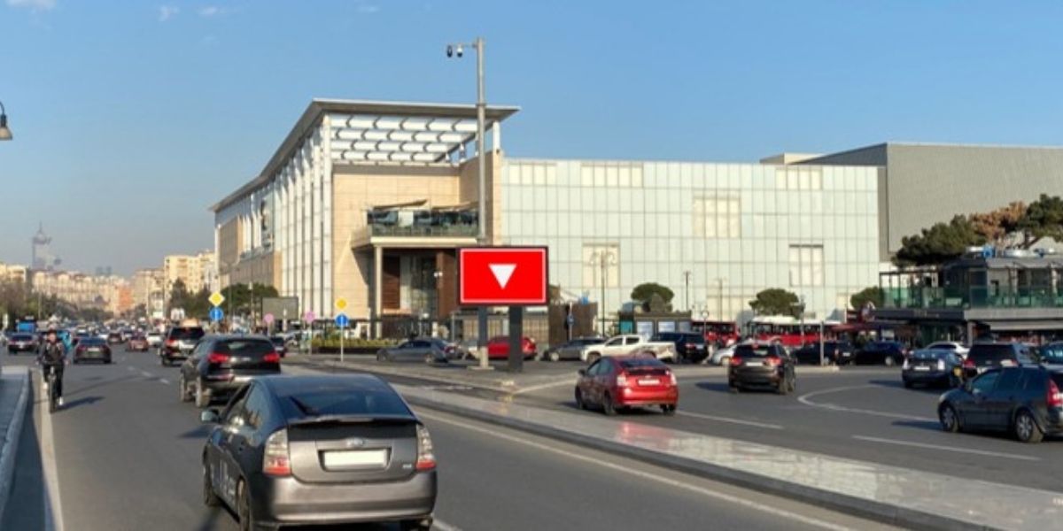 Qurğu Fotosu