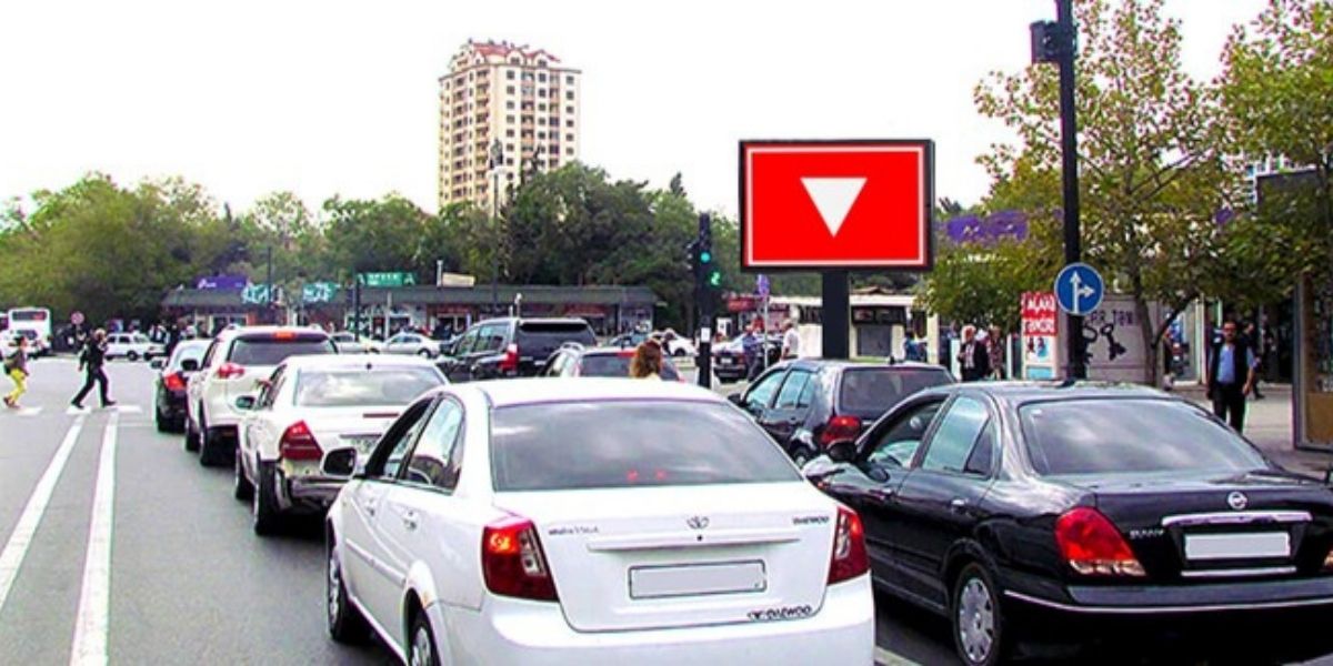 Qurğu Fotosu