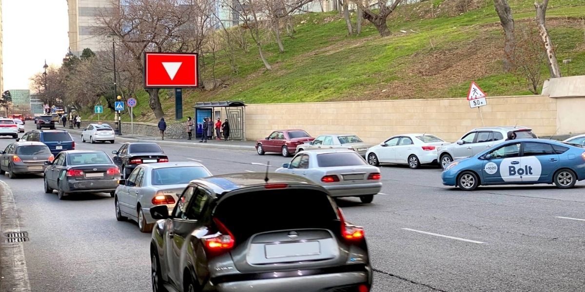 Qurğu Fotosu