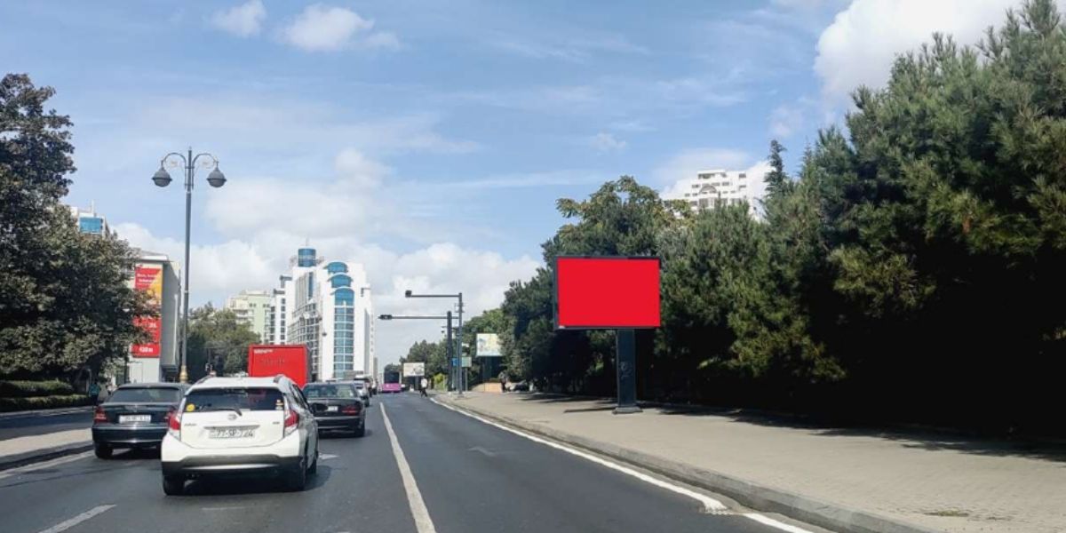 Qurğu Fotosu