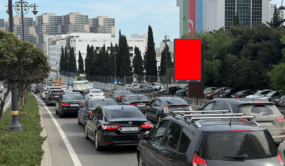 Qurğu Fotosu