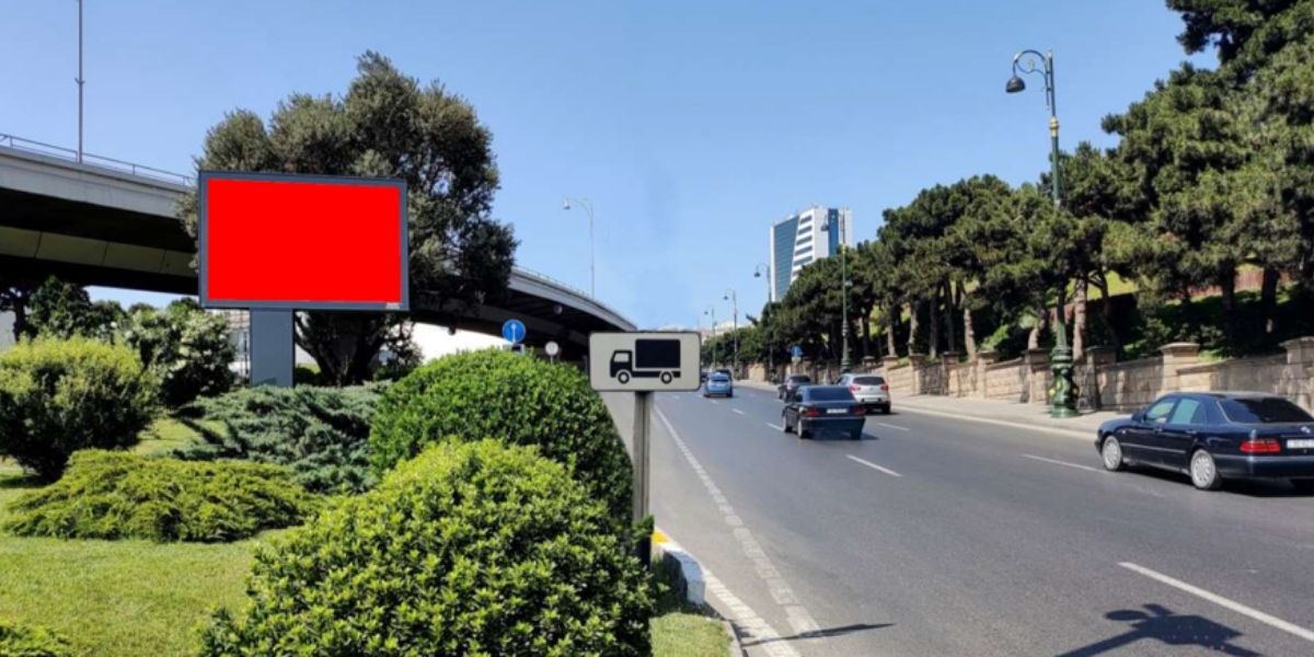 Qurğu Fotosu