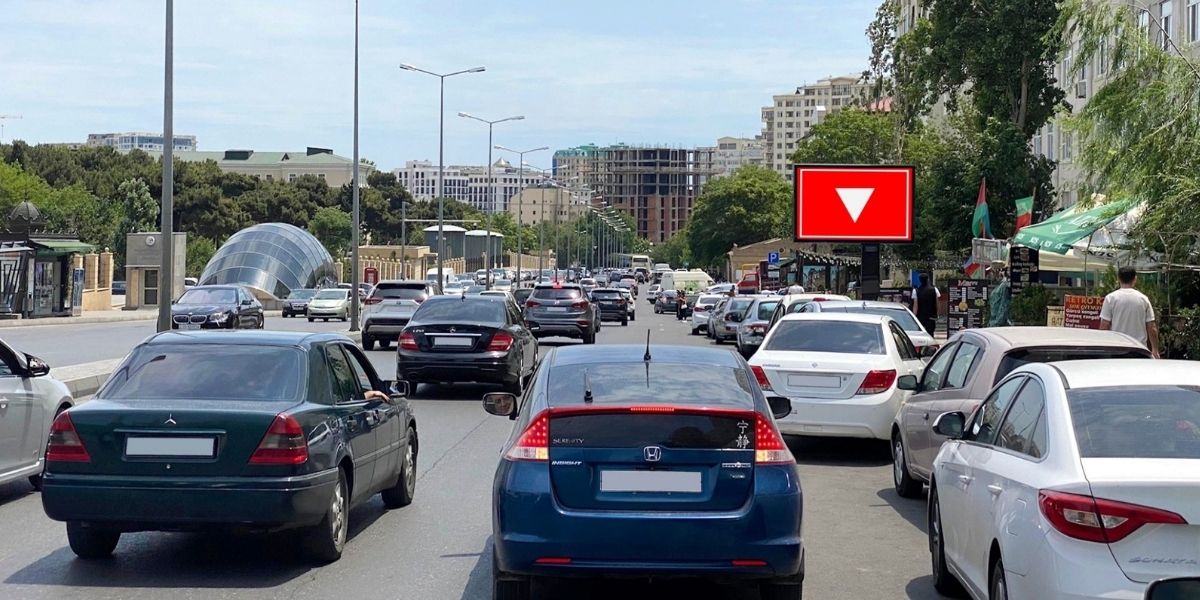 Qurğu Fotosu