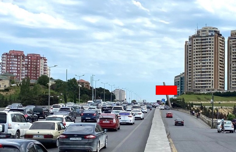 Qurğu Fotosu