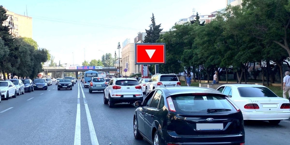 Qurğu Fotosu